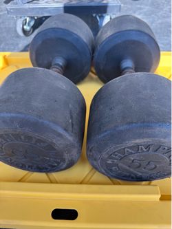 55LB HAMPTON Dumbbells