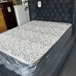 Queen Size Bed frame Special Sale Price