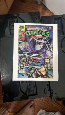 Teenage Mutant Ninja Turtles Adventures 1