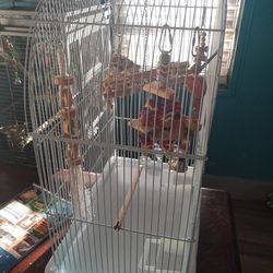 bird cage  