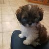 Gabby
