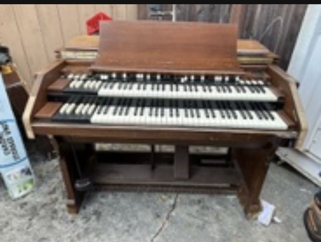 organ