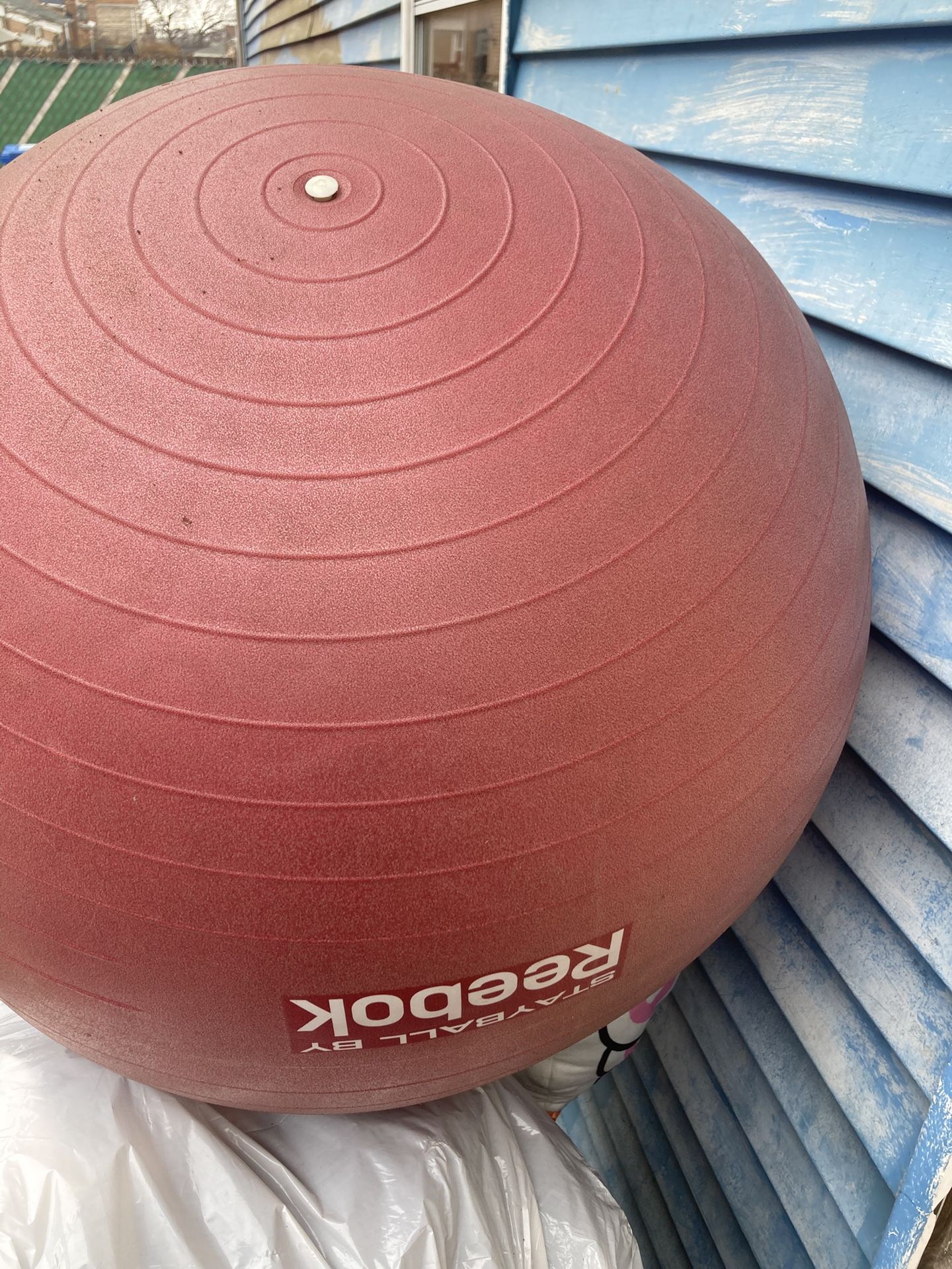 Exercise Ball