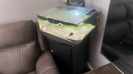 Saltwater aquarium with stand filter and pump