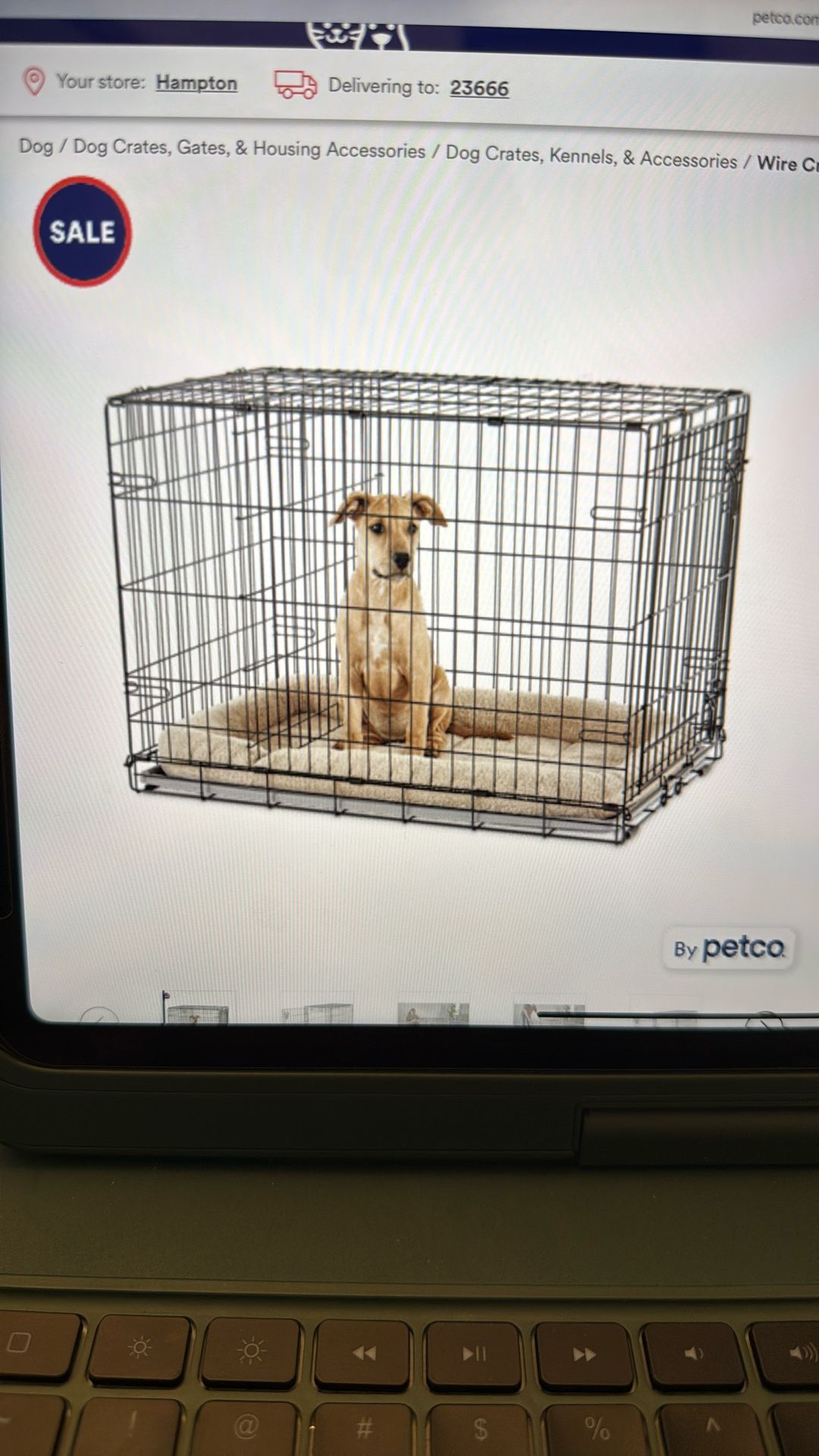 Large Dog Folding Crate