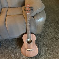Bass Guitar