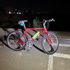 RadiCycles