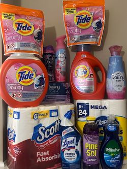Household Bundle Tide Downy/Scott/Charmin