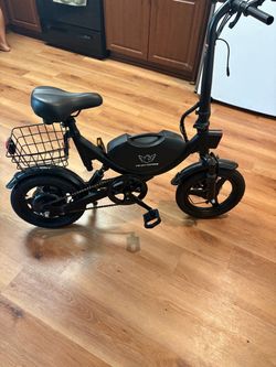 Wind Horse Electric Folding Bike