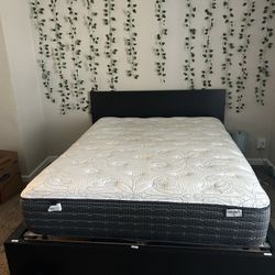 Queen Bed Frame