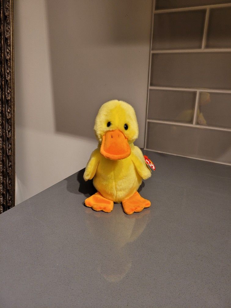Ty Beanie Baby: Quackers the Duck | Stuffed Animal