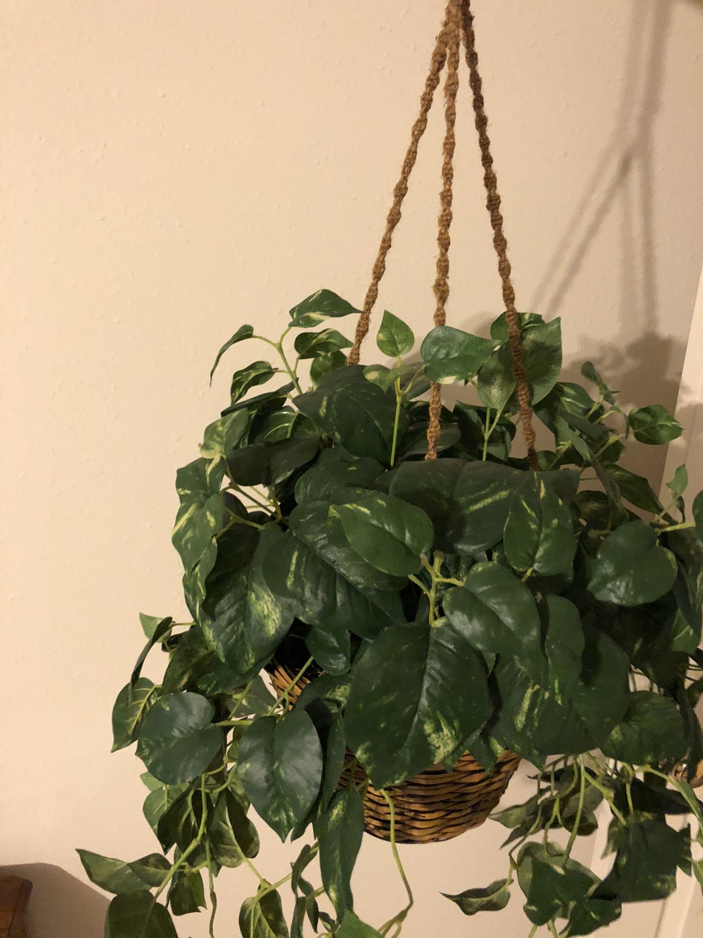 Plastic hanging potted plant