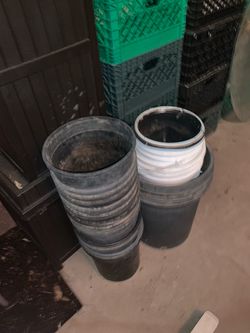 Plant Buckets Containers Gardening $5 each