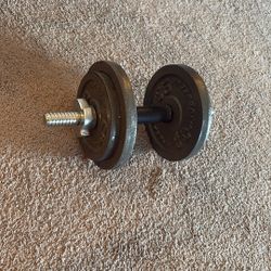 Free Weights