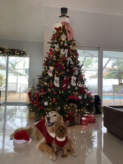 7.5FT Christmas Tree With Lights