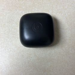 Powerbeats Earphones