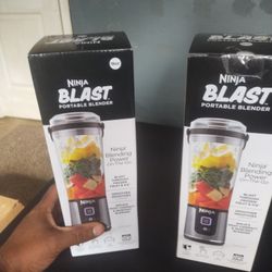 Ninja fruit blenders