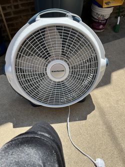Fan