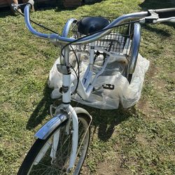 26’ Alameda Adult Trike