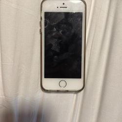 iPhone 5s