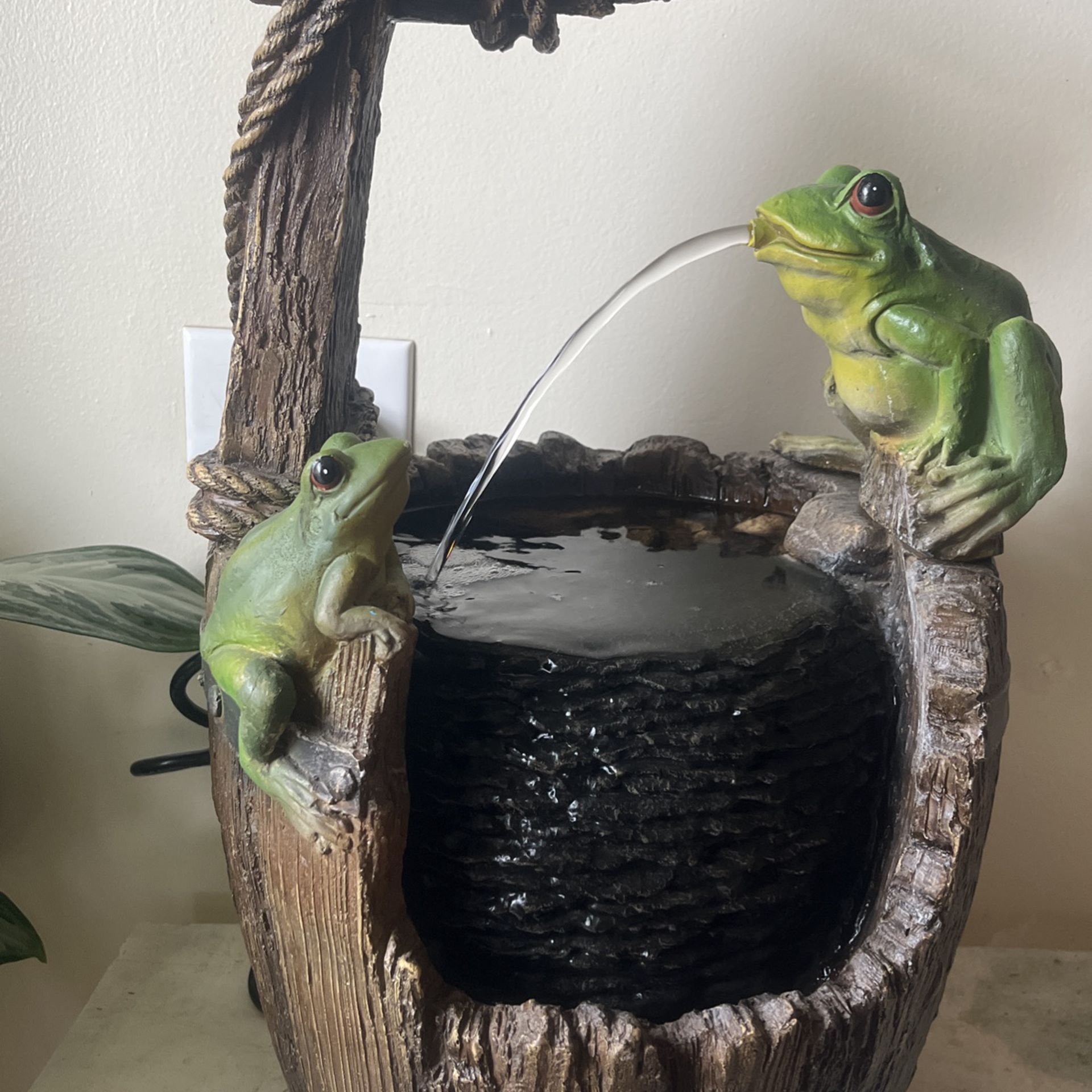 Frog Fountain, Indoor 