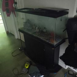 50 Gallon Fish Tank 