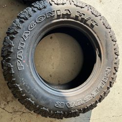 Patagonia M/T Tires 