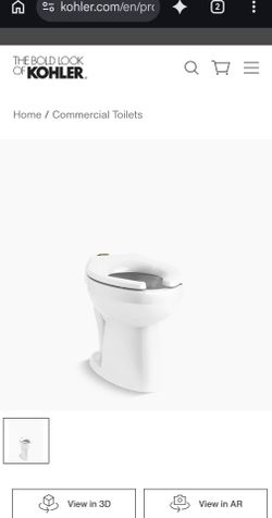 Commercial toilet