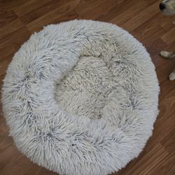 Pet Bed
