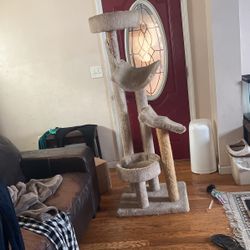 Cat Tree