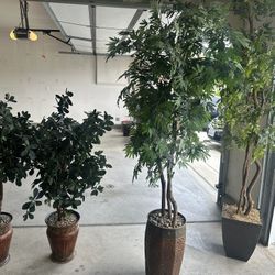 Artificial Plants 