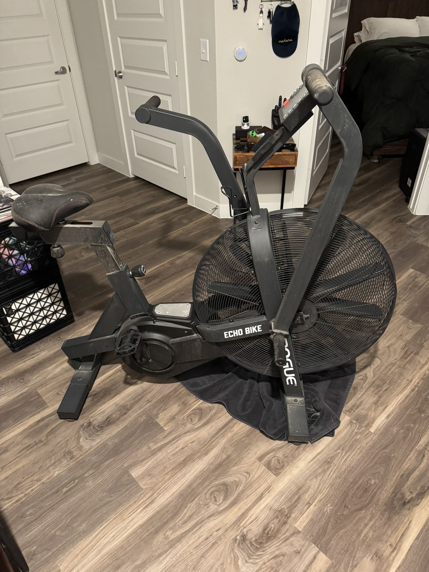 Rogue Echo Exercise Bike