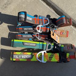Dog Collars