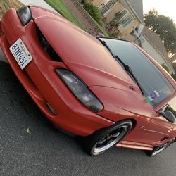 Hood And Bumper
