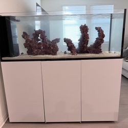 WATERBOX AQUARIUMS Peninsula 6025 Aquarium & Stand (195 Gallons )