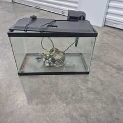Fish Tank