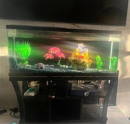 Fish tank