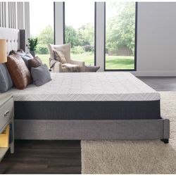 Queen 12” sealy foam mattress