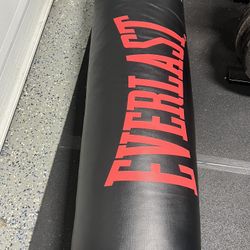 Everlast 100 Lbs Punching Bag and Hayabusa Bag Anchor