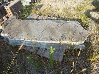 Bluestone slab - $250