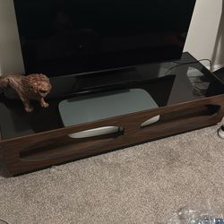 MCM Modern TV Stand/ Coffee Table