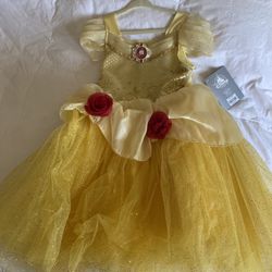 Disney Princess Dresses