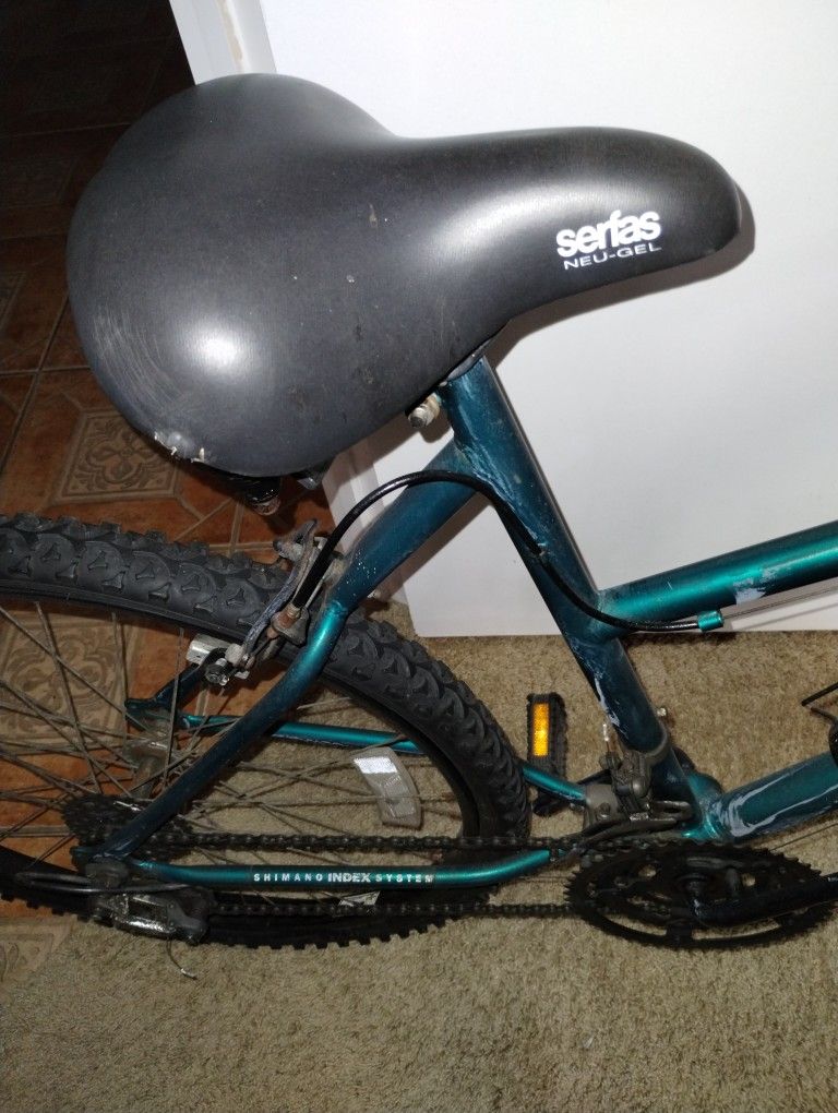 Bicycle And A 80cc Gas Engine
