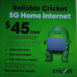 Home Internet