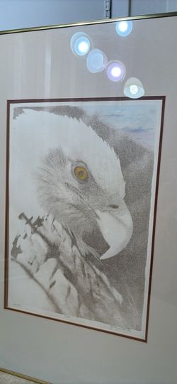 Eagle painting
