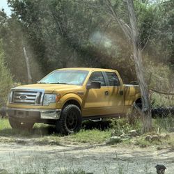 2009 Ford F 150