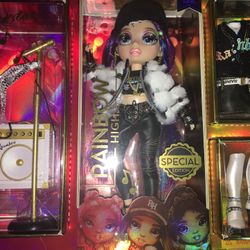 Rainbow High Special Edition Includes Accessories Brand New 
