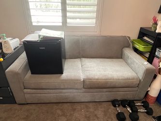 Couch and pull out bed