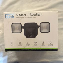 Blink Floodlight 