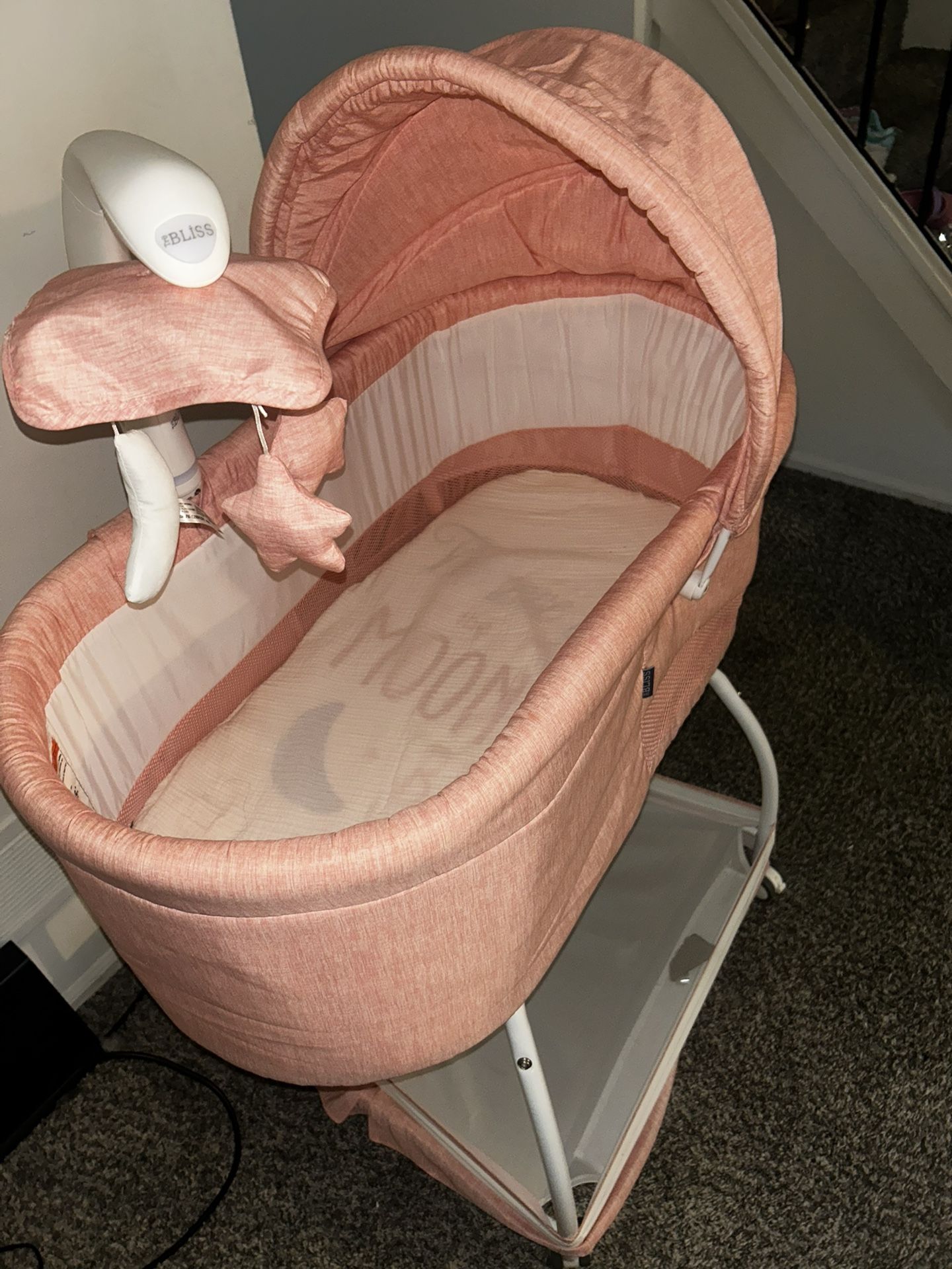 Baby girl Bassinet